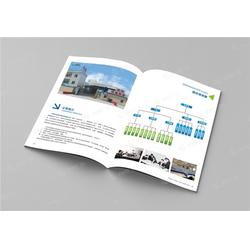 启成广告 东莞寮步家居广场宣传画册设计，只做精品